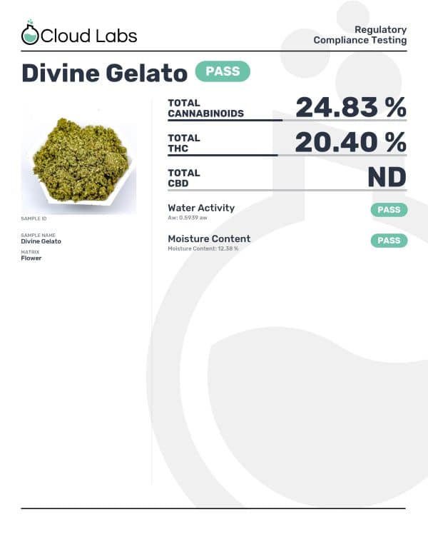 Divine Gelato - Image 2