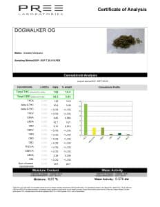 Dogwalker - Image 2