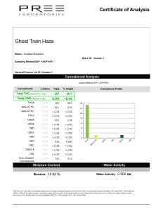 Ghost Train Hazy - Image 2