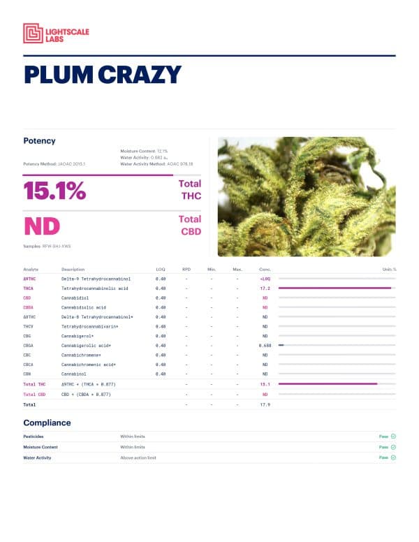 Plum Crazy - Image 2